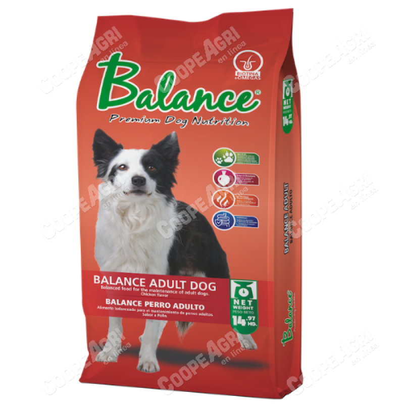 Alimento de Perros